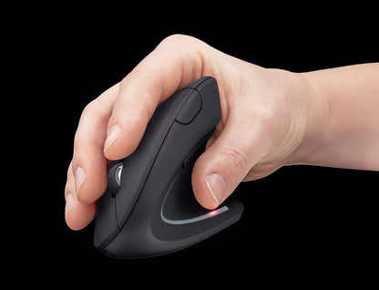 Mouse Vertical Inalambrico